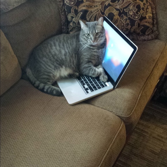 Meet your Posher, Jason - Picture 4 of 9